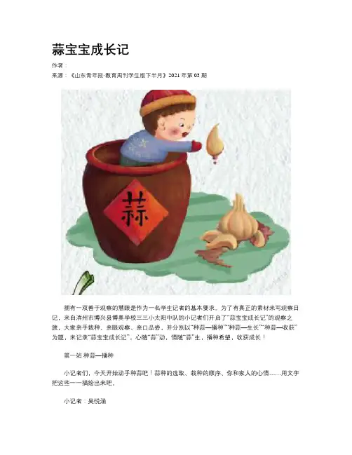 蒜宝宝成长记