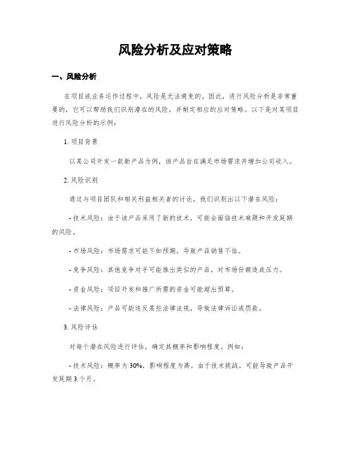 风险分析及应对策略