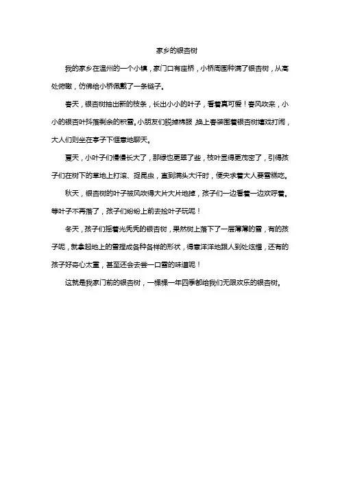 家乡的银杏树