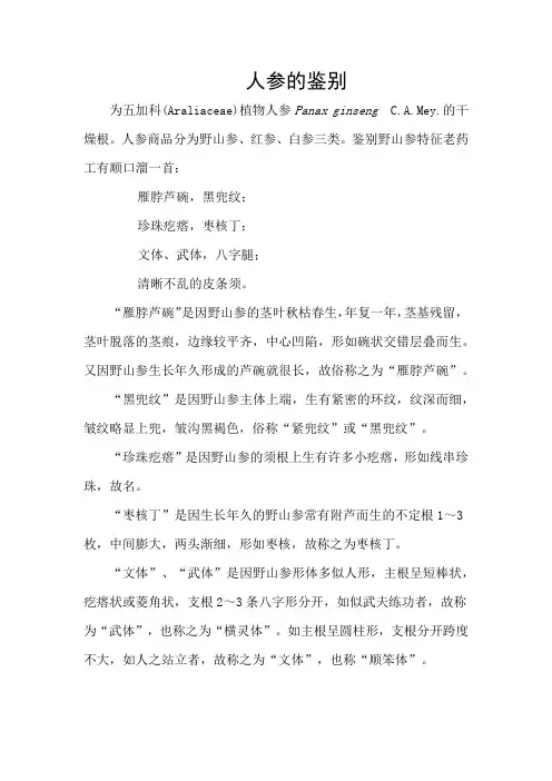 人参的鉴别
