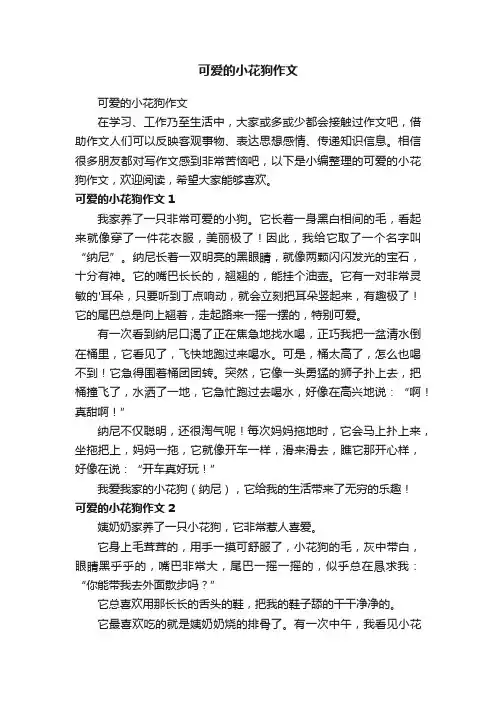 可爱的小花狗作文