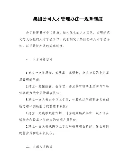 集团公司人才管理办法—规章制度