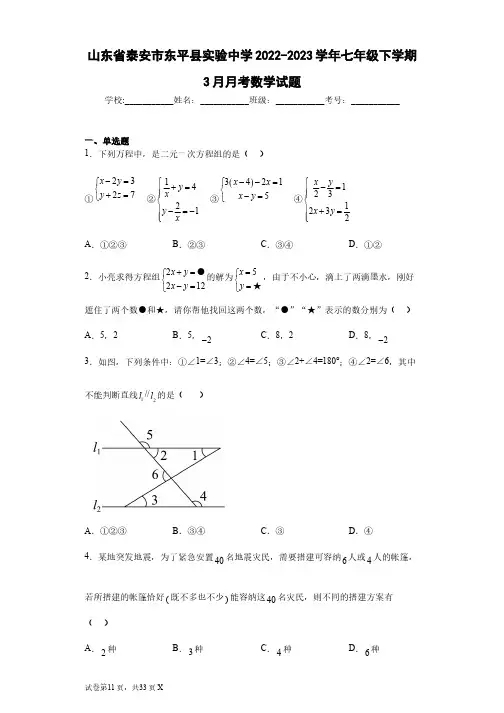 山东省泰安市东平县实验中学2022-2023学年七年级下学期3月月考数学试题