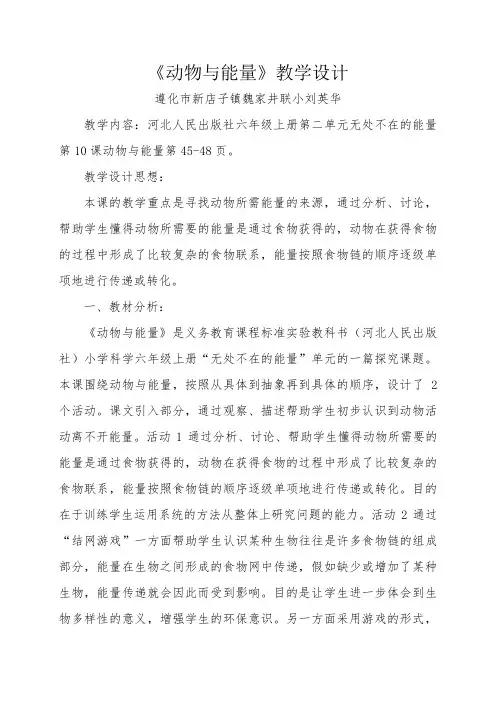 动物与能量