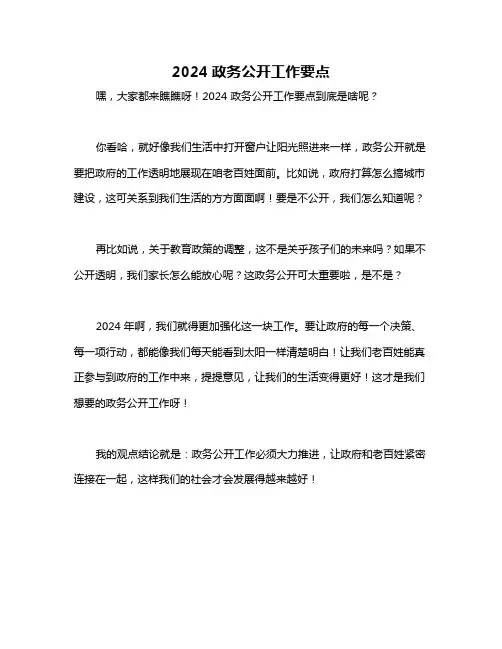 2024政务公开工作要点