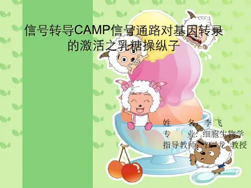 信号转导CAMP信号通路对基因转录的激活之乳糖操纵子