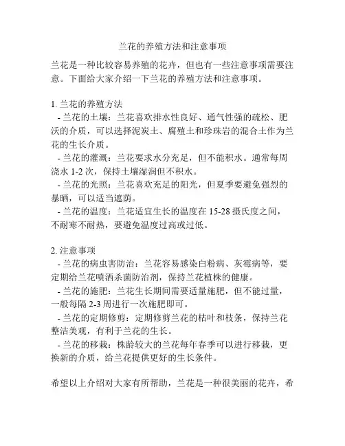兰花的养殖方法和注意事项