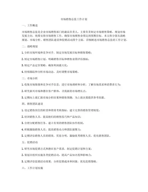 市场销售总监工作计划