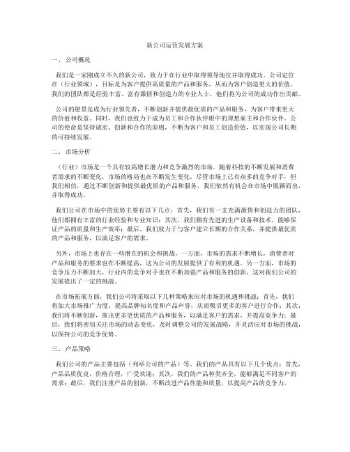 新公司运营发展方案