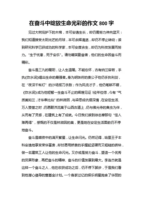 在奋斗中绽放生命光彩的作文800字