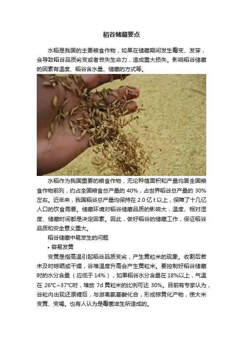 稻谷储藏要点