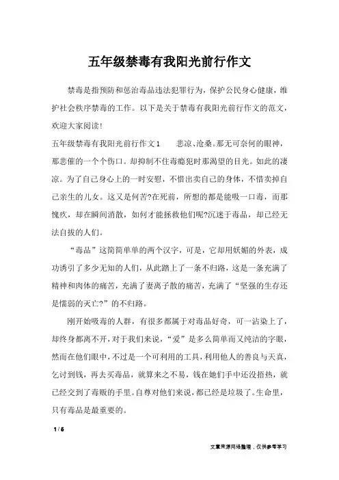 五年级禁毒有我阳光前行作文_节日作文