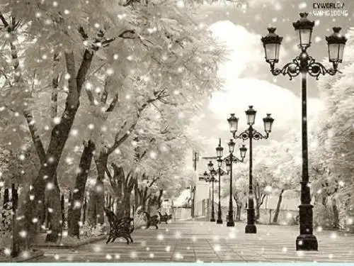 《雪地里的小画家》ppt课件