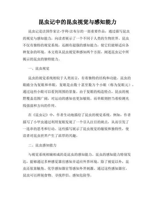 昆虫记中的昆虫视觉与感知能力