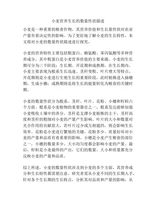 小麦营养生长的数量性状描述