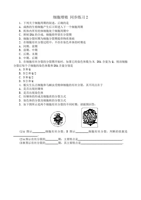 苏教版高中生物必修1细胞增殖 同步练习2