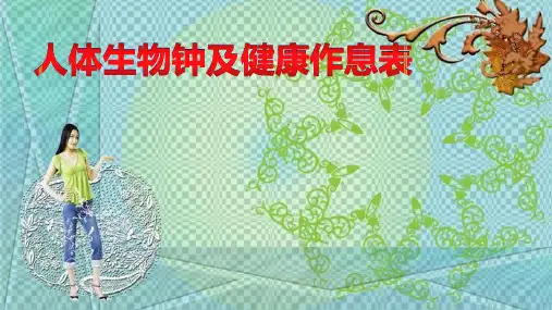 人体生物钟及健康作息表