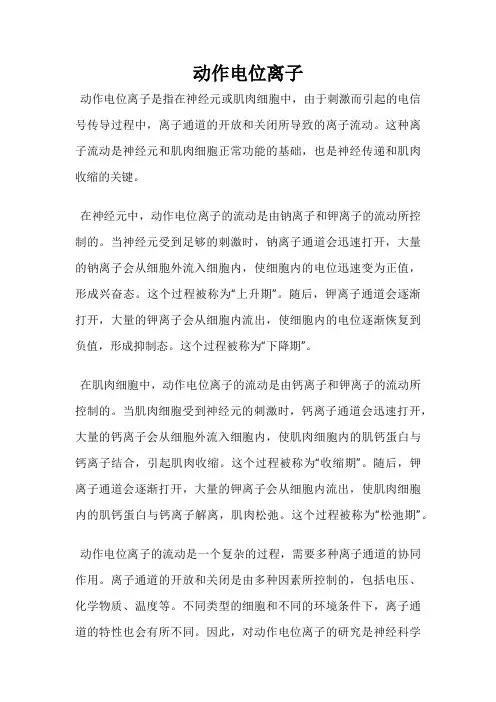 动作电位离子