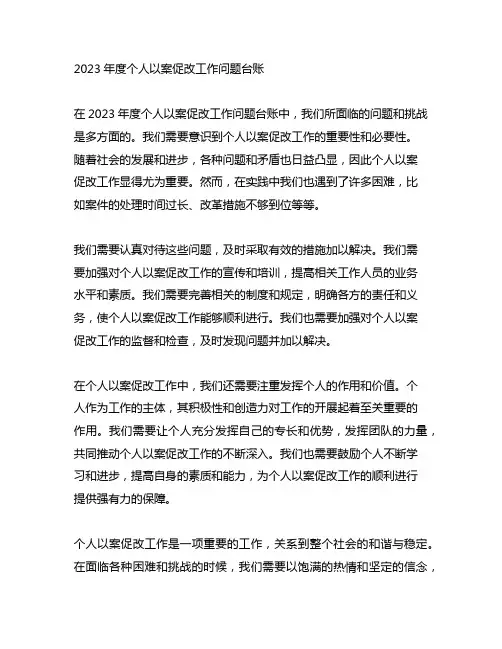 2023年度个人以案促改工作问题台账