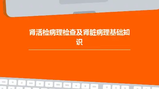 肾活检病理检查及肾脏病理基础知识