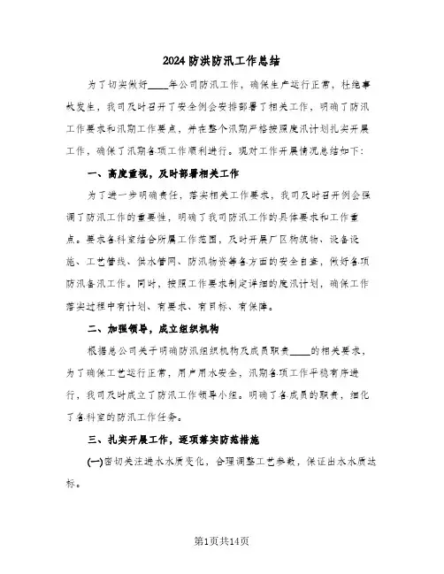 2024防洪防汛工作总结(5篇)