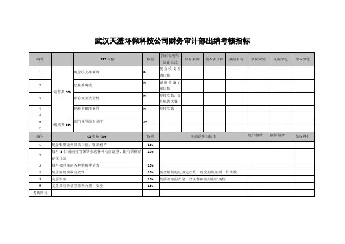 武汉天澄环保科技公司财务审计部出纳考核指标