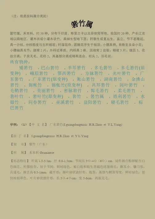 竹子分类