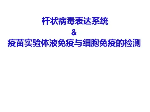 杆状病毒表达系统 杆状病毒滴度测定 全攻略