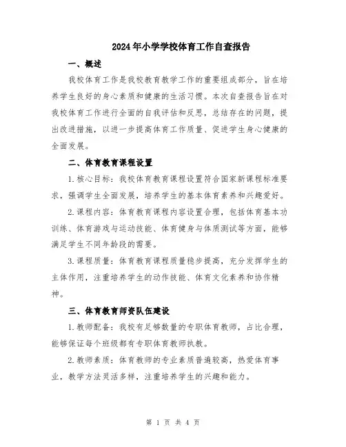 2024年小学学校体育工作自查报告