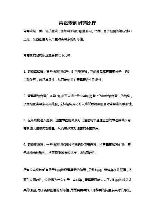 青霉素的耐药原理