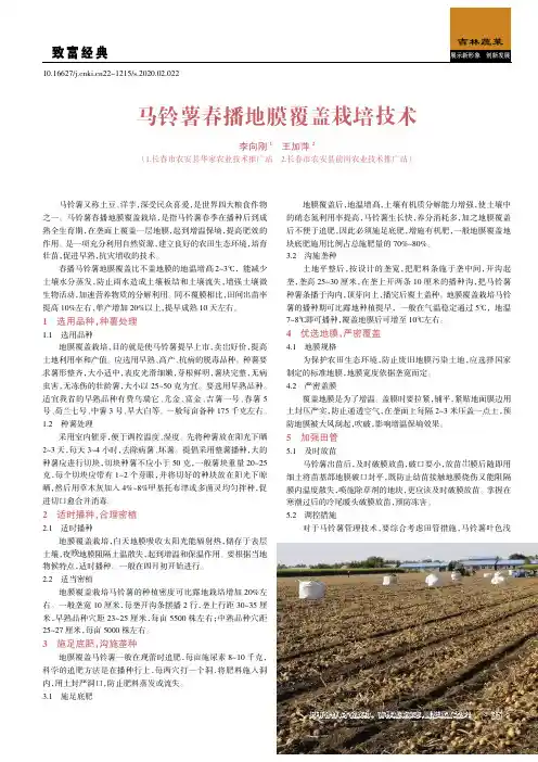 马铃薯春播地膜覆盖栽培技术