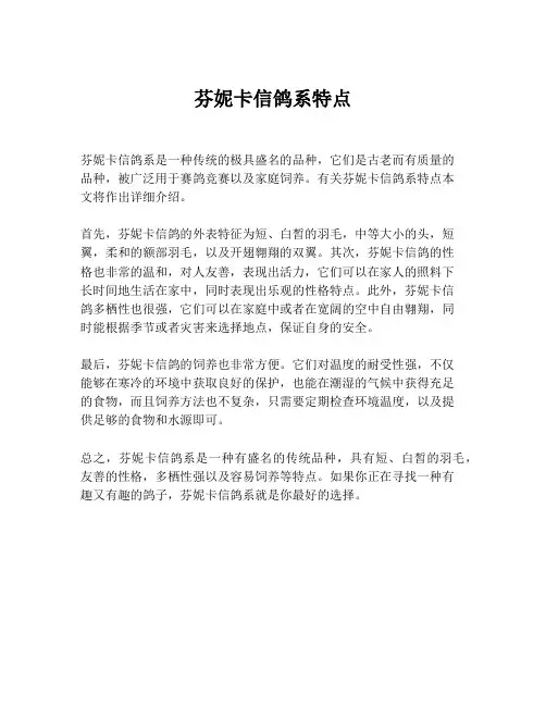 芬妮卡信鸽系特点