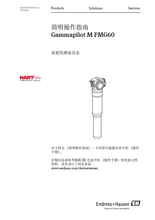 Gammapilot M FMG60 放射线测量仪表 简明操作指南说明书