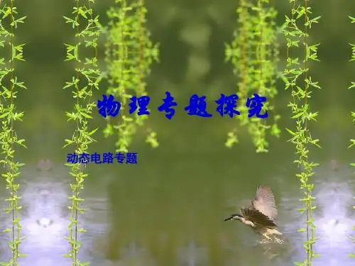 中考物理动态电路专题