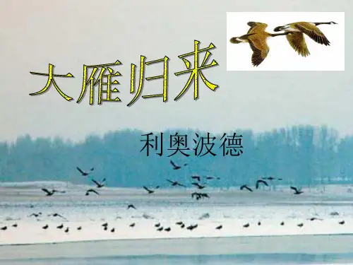 大雁归来(注重语言赏析)