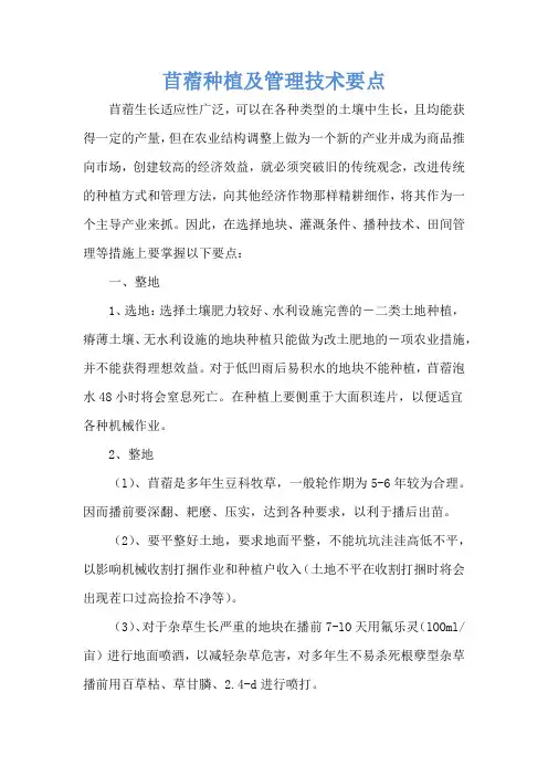 苜蓿种植及管理技术要点