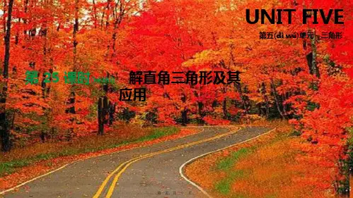 中考数学总复习 第五单元 三角形 第25课时 解直角三角形及其应用课件
