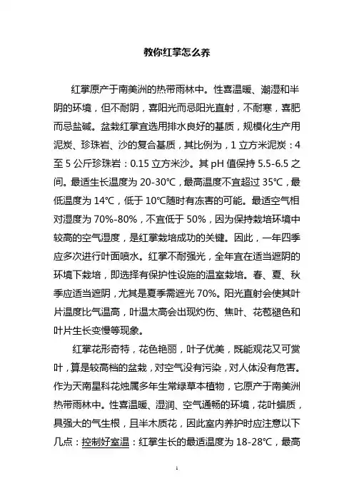 教你红掌怎么养