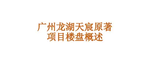 广州龙湖天宸原著项目楼盘概述.docx