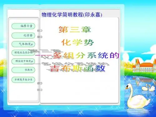 物理化学简明教程(印永嘉) 化学势