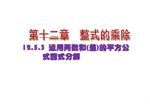 12.5因式分解第2课时公式法(1)1
