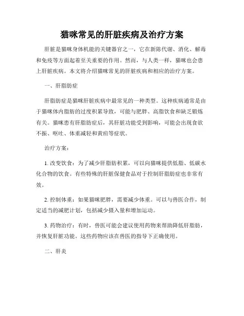 猫咪常见的肝脏疾病及治疗方案