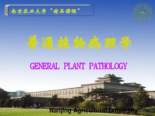 南京农业大学教学精品课程建设工作