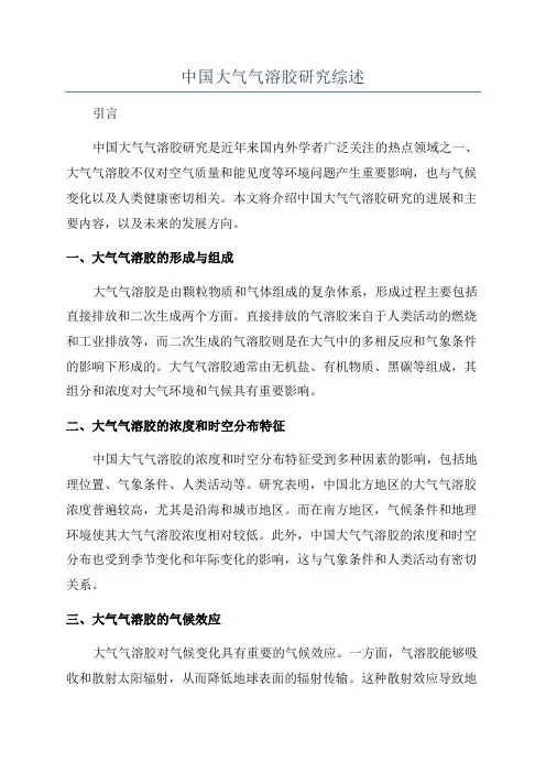 中国大气气溶胶研究综述