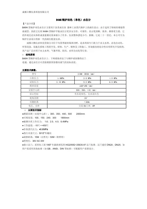 B49H锅炉双色水位计