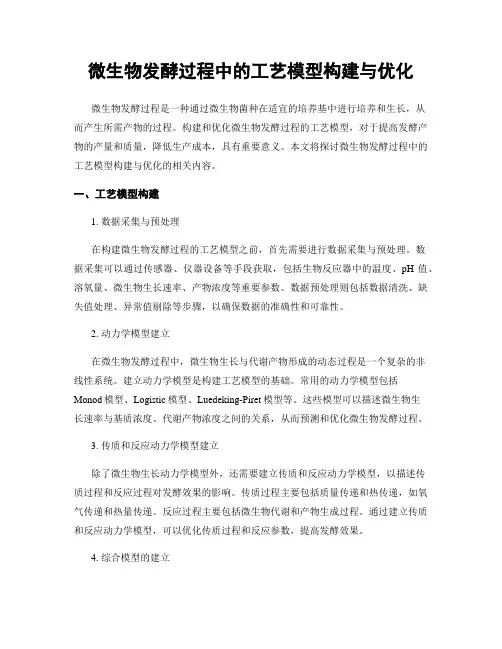 微生物发酵过程中的工艺模型构建与优化