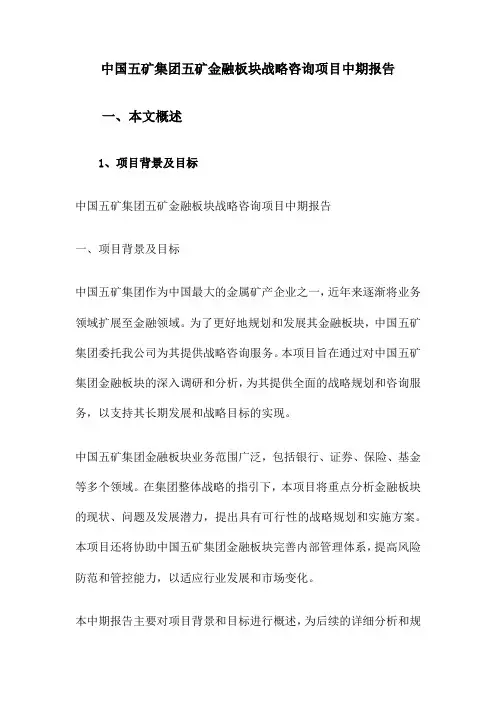 中国五矿集团五矿金融板块战略咨询项目中期报告