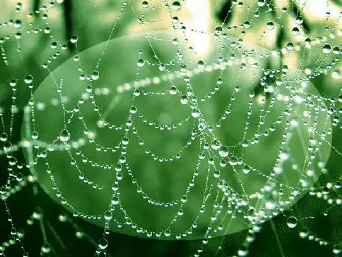2.《雨说》课件