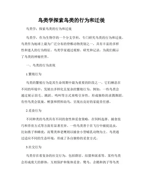 鸟类学探索鸟类的行为和迁徙