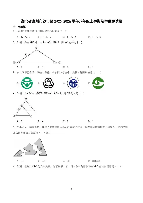 湖北省荆州市沙市区2023-2024学年八年级上学期期中数学试题